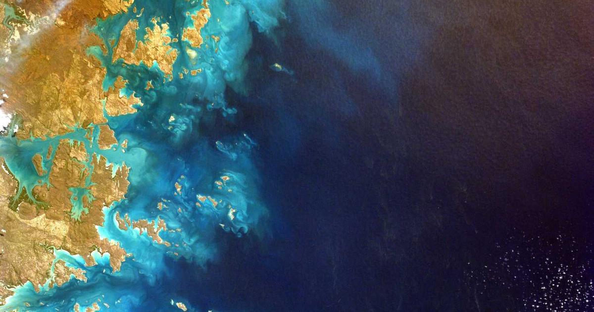 What is Fathom? - Company Overview & Details